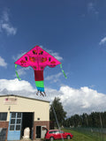 Pink-Fish Delta Dragon häntällä useissa iloisissa väreissä - Exclusive Dragon osoitteesta www.Drake.nu