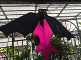 Bat Red / Pink - Bat / Batman - Eksklusiivinen lohikäärme osoitteesta www.Drake.nu