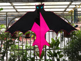 Bat Red / Pink - Bat / Batman - Eksklusiivinen lohikäärme osoitteesta www.Drake.nu