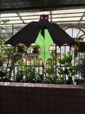 Bat Green - Bat / Batman - Eksklusiivinen lohikäärme osoitteesta www.Drake.nu