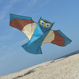 Einsteins Uggla Drake - Spider Kites