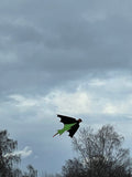 Bat Green - Bat / Batman - Eksklusiivinen lohikäärme osoitteesta www.Drake.nu
