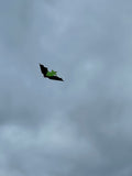 Bat Green - Bat / Batman - Eksklusiivinen lohikäärme osoitteesta www.Drake.nu