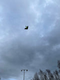 Bat Green - Bat / Batman - Eksklusiivinen lohikäärme osoitteesta www.Drake.nu