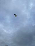 Bat Green - Bat / Batman - Eksklusiivinen lohikäärme osoitteesta www.Drake.nu