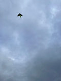 Bat Green - Bat / Batman - Eksklusiivinen lohikäärme osoitteesta www.Drake.nu