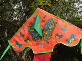Oranssi-Butterfly Delta Dragon häntällä useissa iloisissa väreissä - Exclusive Dragon osoitteesta www.Drake.nu
