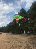 Vihreä-perhonen-delta-lohikäärme, jossa on häntä useissa iloisissa väreissä - Exclusive Dragon osoitteesta www.Drake.nu