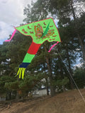 Vihreä-perhonen-delta-lohikäärme, jossa on häntä useissa iloisissa väreissä - Exclusive Dragon osoitteesta www.Drake.nu