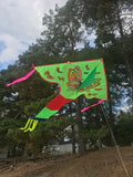 Vihreä-perhonen-delta-lohikäärme, jossa on häntä useissa iloisissa väreissä - Exclusive Dragon osoitteesta www.Drake.nu