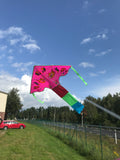 Pink-Fish Delta Dragon häntällä useissa iloisissa väreissä - Exclusive Dragon osoitteesta www.Drake.nu