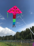 Pink-Fish Delta Dragon häntällä useissa iloisissa väreissä - Exclusive Dragon osoitteesta www.Drake.nu
