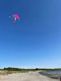 Dolphins in Paradise Pink delta-lohikäärme, jossa on häntä useissa iloisissa väreissä - Exclusive Dragon osoitteesta www.Drake.nu