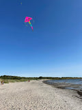 Dolphins in Paradise Pink delta-lohikäärme, jossa on häntä useissa iloisissa väreissä - Exclusive Dragon osoitteesta www.Drake.nu