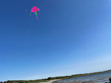 Dolphins in Paradise Pink delta-lohikäärme, jossa on häntä useissa iloisissa väreissä - Exclusive Dragon osoitteesta www.Drake.nu