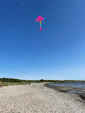 Dolphins in Paradise Pink delta-lohikäärme, jossa on häntä useissa iloisissa väreissä - Exclusive Dragon osoitteesta www.Drake.nu