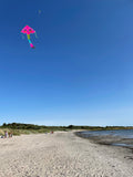 Dolphins in Paradise Pink delta-lohikäärme, jossa on häntä useissa iloisissa väreissä - Exclusive Dragon osoitteesta www.Drake.nu