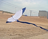 Vlieger Little Seagull 50X18 Cm från Dida Kites