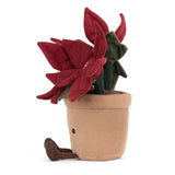 Amuseable Poinsettia - Julstjärna - Euphorbia pulcherrima - Gossedjur som ser ut som växter