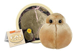 Fettcell av giantmicrobes