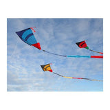 Box Delta 160 Drake / Kite by Colors in Motion Saksasta