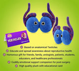 Testiklar Av Giant Microbes Gossedjur förstorade 1000-tals gånger