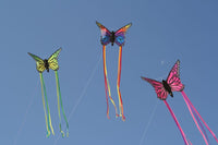 Regnbåge 3D Fjäril Drake från Tyska Spider Kites- Schmetterling / Butterfly