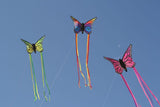 Vihreä / keltainen 3D Butterfly Dragon saksalaiselta Spider Kites - Butterfly / Butterfly