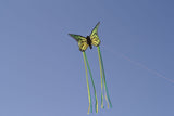 Vihreä / keltainen 3D Butterfly Dragon saksalaiselta Spider Kites - Butterfly / Butterfly