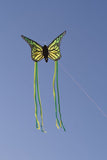 Grön/gul 3D Fjäril Drake från Tyska Spider Kites- Schmetterling / Butterfly