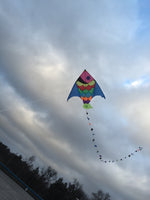 Rainbowfish (Scalar) Drake / Cerf-volant poisson monivärinen / Fish Giant Kite munti color leija