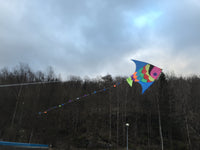 Regnbågsfisk (Scalar) Drake / Cerf-volant poisson multicolore / Fish Giant Kite munti colour kite