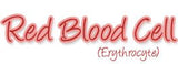 Röd blodkropp (ca. 40cm I diameter) / Röd blodcell / Red Blood Cell / Erythrocyte