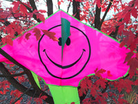 Vaaleanpunainen hymyilevä delta-lohikäärme, jossa on häntä useissa väreissä - Exclusive Dragon osoitteesta www.Drake.nu