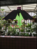 Fladdermus Grön - Bat / Batman - Exklusiv drake från www.Drake.nu