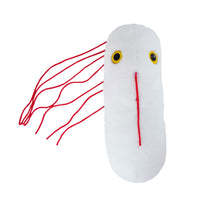 Salmonella / Salmonella typhimurium Pehmeä lelu