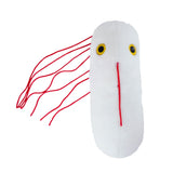 Salmonella / Salmonella typhimurium Pehmeä lelu