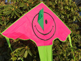 Vaaleanpunainen hymyilevä delta-lohikäärme, jossa on häntä useissa väreissä - Exclusive Dragon osoitteesta www.Drake.nu