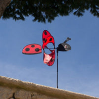 Magic Ladybug whirlwind Big / tuuli peli Lady Bird