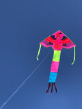 Vaaleanpunainen kotka delta-lohikäärme, jossa on häntä useissa iloisissa väreissä - Exclusive Dragon osoitteesta www.Drake.nu