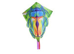 Bug Wham-O Superkite American Wham-O:lta