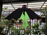 Bat Green - Bat / Batman - Eksklusiivinen lohikäärme osoitteesta www.Drake.nu