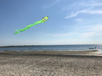 Octopus Octopussy Green