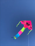Vaaleanpunainen delta-lohikäärme, jossa kaneja ja kanoja, joissa on häntä useissa väreissä - Exclusive Dragon osoitteesta www.Drake.nu