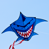 Buddy Blue Shark