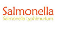 Salmonella / Salmonella typhimurium Pehmeä lelu