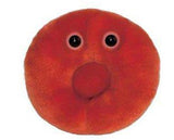 Punasolut (halkaisijaltaan noin 40 cm) / punasolut / punasolut / punasolut
