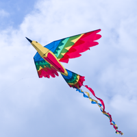Sateenkaarilintu Drake / Bird Drachen RAINBOW (ALE 25%)