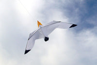 Fiskmås 240*70 KITE  från Dida Kites / SEAGULL 240*70 KITE