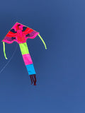 Vaaleanpunainen kotka delta-lohikäärme, jossa on häntä useissa iloisissa väreissä - Exclusive Dragon osoitteesta www.Drake.nu